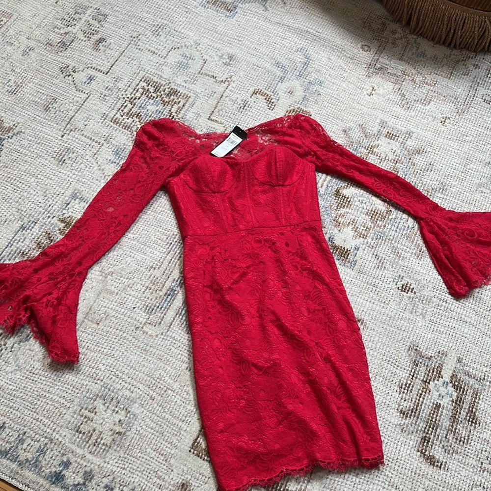 BCBG Salina Lace corset Dress